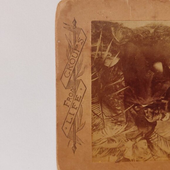 ANTIQUE Stereograph Card Victorian Woman and Bloodhound in Garden - Picture 3 of 4